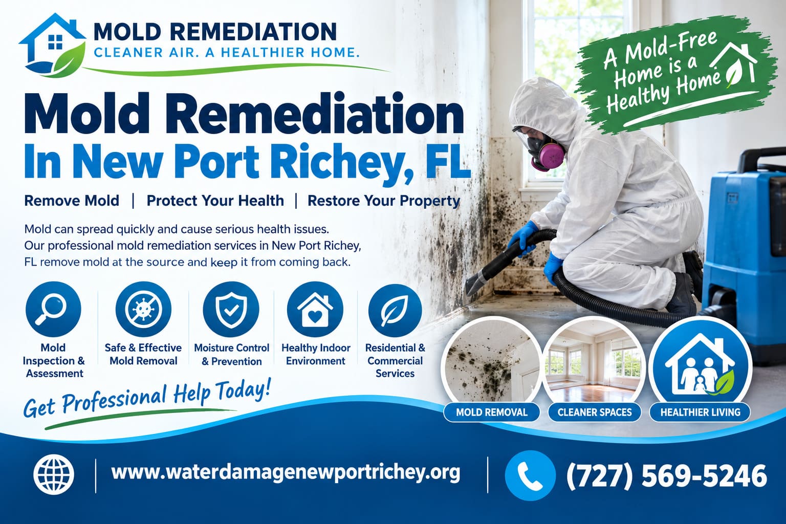 Mold remediation service icon New Port Richey
